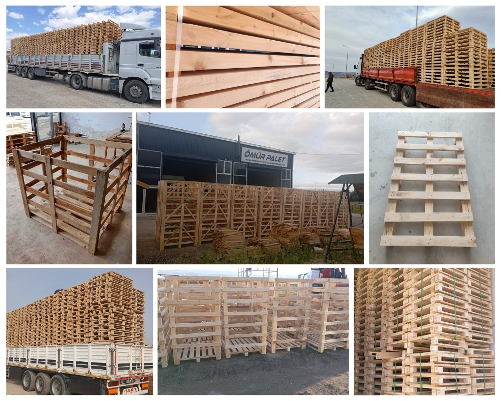 Assen Houten Kisten, Europallets Groothandel Kopen